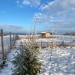 Brzozowisko Zalewo Holiday home *