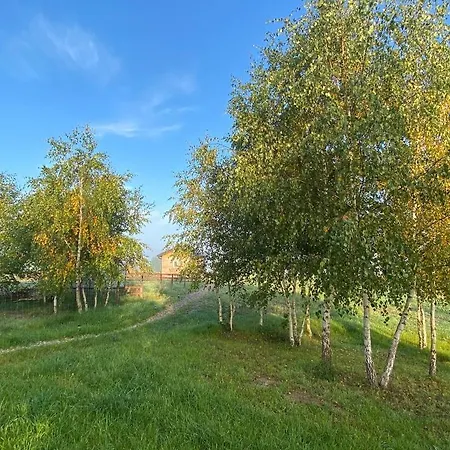 Brzozowisko Zalewo Ferienhaus