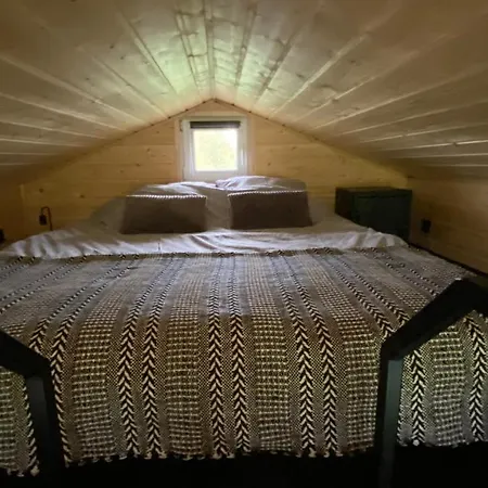 Brzozowisko Zalewo *