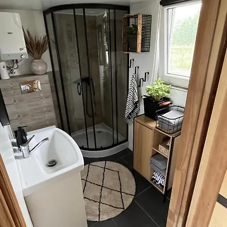 Brzozowisko Zalewo * Miłomłyn