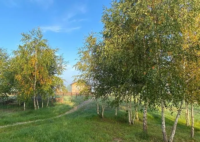 Brzozowisko Warmia Dom wakacyjny