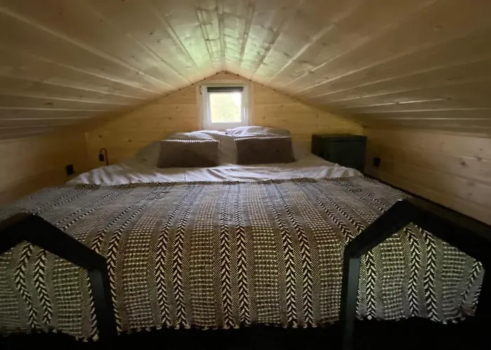 Brzozowisko Warmia *