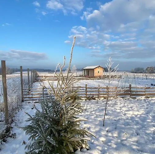 Brzozowisko Zalewo Tatil Evi *