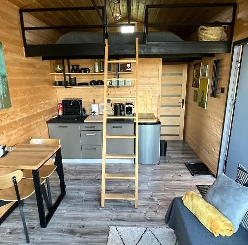 Brzozowisko Warmia * Miłomłyn